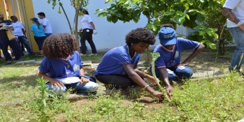 Estudantes da rede estadual participam de Dia do Voluntariado no bairro de Areno